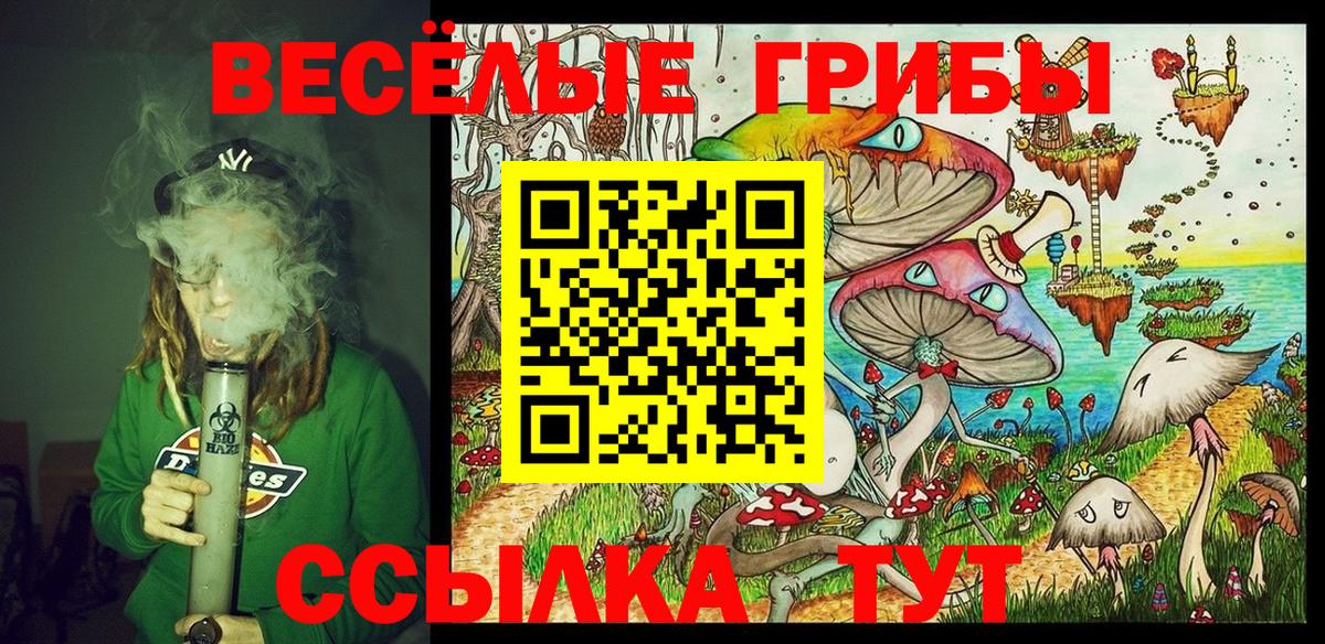 Галлюциногенные грибы Psilocybine cubensis  Вход с VPN  Лосино-Петровский 