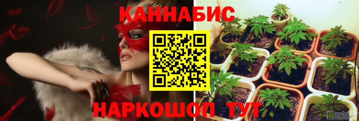 Марихуана OG Kush  Конопля LSD WEED  Лосино-Петровский  Вход с VPN  Бошки Шишки индика 